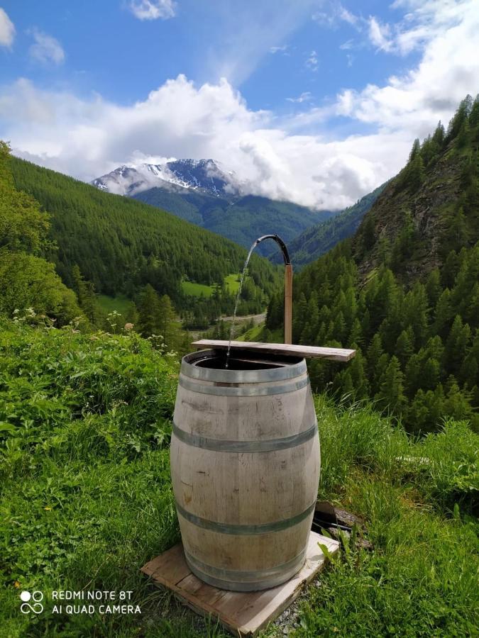 Les Hauts Du Roux アブリエ エクステリア 写真